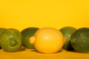 Yellow and green lemons fruit on yellow background with hard shadows. Citrus fruits. Space for text. Green living and eco-friendly products