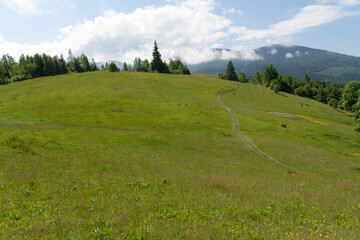 Winding path Road in the Italian Alps photo