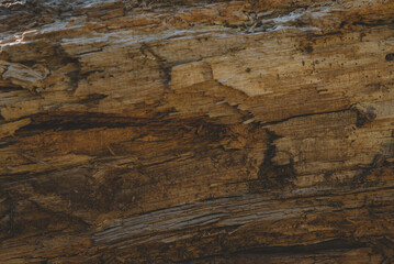 the texture of the brown oak wood desk