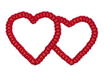 United hearts.  Two hearts of red chrysanthemum flowers joined together, isolated on a transparent background. the concept of devotion, love, congratulations. Two loving hearts together forever