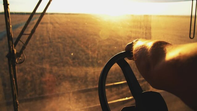 View from cabin of harvesting combine on hands of driver controlling transport and turning steering wheel. Mechanism process collecting crop on wheat field on sunset. Agricultural agribusiness.