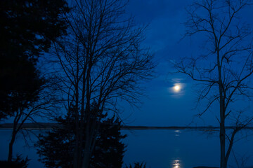 Full moon over a lake surrounded by tall trees