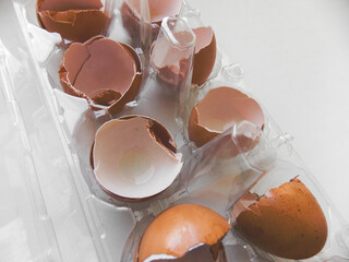 A tray with a shell of chicken eggs. Close-up