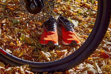 Orange sneakers and a bicycle wheel in sunlight against a background of fallen autumn leaves