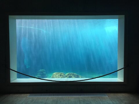 Empty hall and the aquarium with no fish.