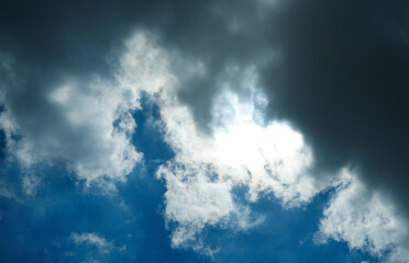 A bird flies in the blue sky