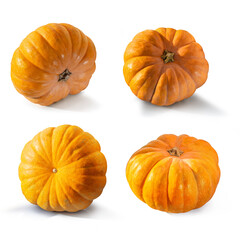 Ripe fresh pumpkin. Squash orange vegetable autumn fruit for food health benefits, or traditional Halloween decoration or a Thanksgiving fall design
