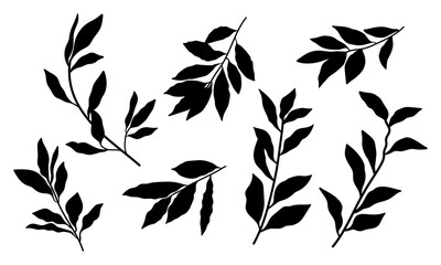 Bay laurel leaf branches, set stencil template for cutting programs - 538041210