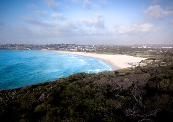 Headland views to Curl Curl beach and suburb
