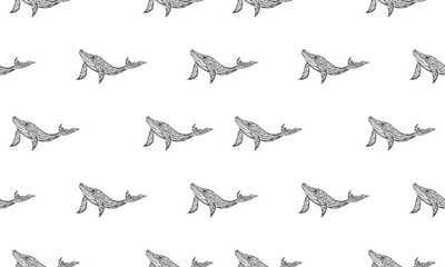 seamless pattern with whale 