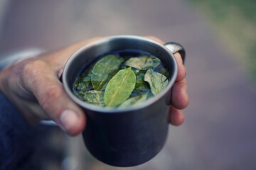 Holding a cup of coca tea (mate de coca)