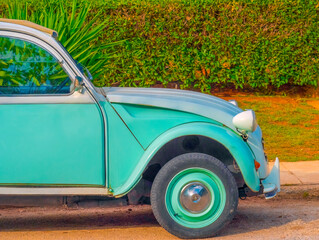 Car on the grass