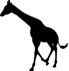 Giraffe Safari Animal Silhouette