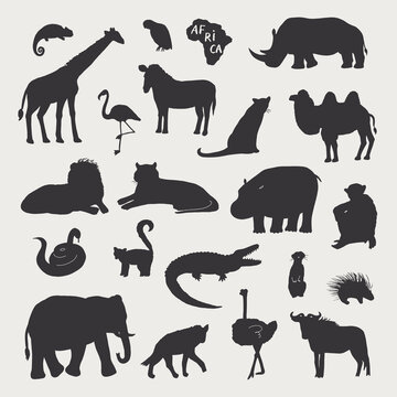 African animals vector illustrations set.