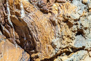 The texture of the stone.