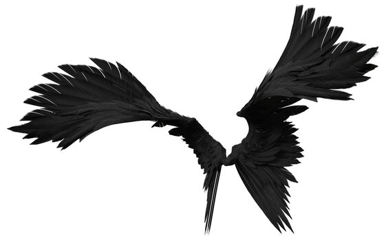 3D Rendered Black Fantasy Angel Wings Isolated On Transparent Background - 3D Illustration