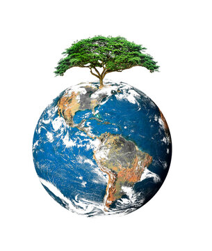 The concept of loving the earth, protecting the environment, changing the environment. globe without green space