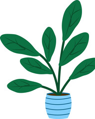 Fototapeta na wymiar flower with large leaves in a blue pot