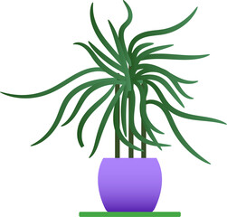 flower in a purple pot