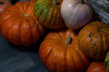 pumpkin on the ground