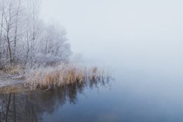 Obraz na płótnie Canvas Foggy dawn scenery. Amazing white rime on the tree branches and dry reeds with reflection in the still water on the dreamy lake on the autumn frosty morning.