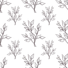 Seamless botanical pattern with flowers, leaves and herbs. 