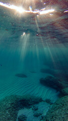 underwater seascape tropical