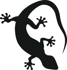 Tokay gekko silhouette on white background. Black hand drawn vector art of a gekko. Illustration of a lizard - obrazy, fototapety, plakaty
