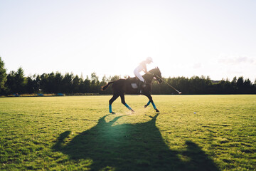 Active Polo player riding horse on green meadow