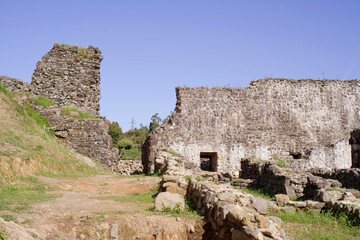 Fototapety na wymiar - Fototapeta24.pl