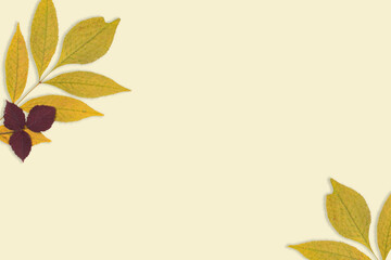 jesienny liść 20 banner - obrazy, fototapety, plakaty