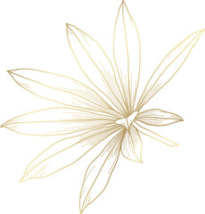 Luxury gold hand drawn floral element in line art style. Flowers and leaves  © Feodora_21