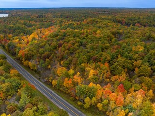 road in autumn