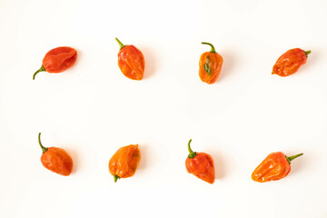 Hot habanero pepper isolated on white background.