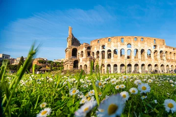 No drill light filtering roller blinds Colosseum Colosseum in Rome in a sunny spring