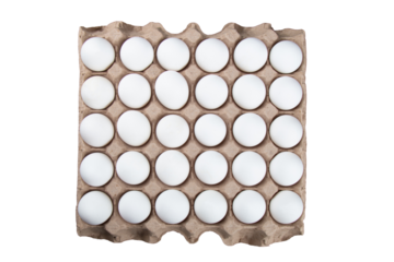 Top view white egg carton