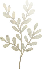 Watercolor green leaf