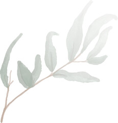 Watercolor green leaf