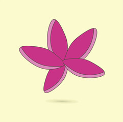 Pink flower Plumeria, for your romantic decoration