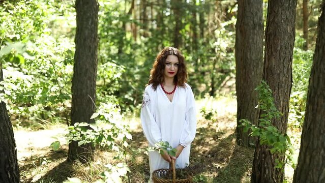 Ukrainian woman in embroidered dress in the forest gathering herbs in basket, Ukrainian witch, divination, natural medicine