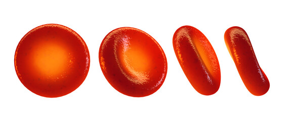 Red blood cell seen from different angles isolated. Blood cells (erythrocytes) deliver oxygen to all body tissues - 538072619