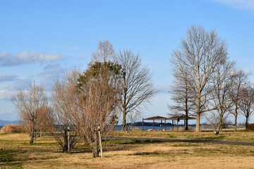 琵琶湖の公園や湿地帯