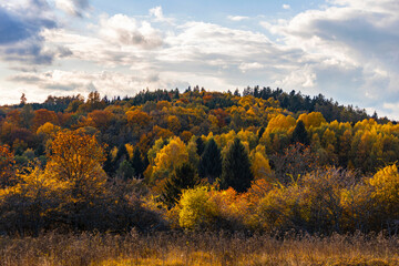 Fototapeta premium Autumn colorful landscape. Yellow, orange and green trees in the fall. Ovčí vrch (Schaafberg) near Krasíkov in Tachov district, Pilsen region, Czech republic.