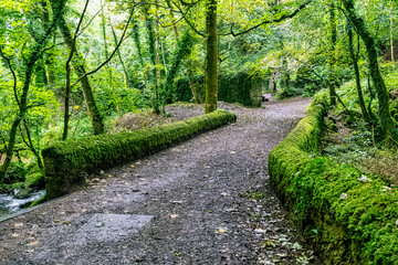 Kennall Vale Nature Reserve, Ponsanooth, Cornwall, United Kingdom