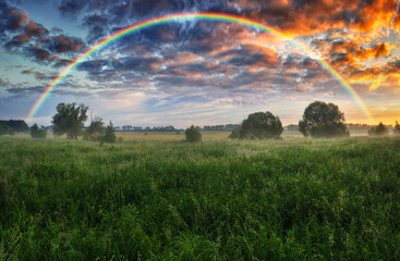 Rainbow over the meadow. picturesque spring morning. nature of Ukraine