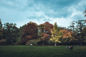autumn in the park