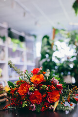 Flowers and plants in florist shop