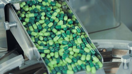 Green capsules move along the metal automatic conveyor, fall into the drum for sorting and...