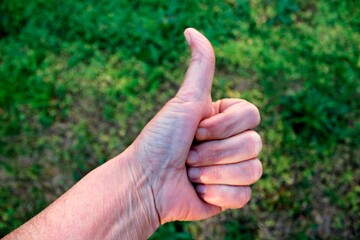 La mano del hombre con el pulgar hacia arriba expresa todo lo positivo en la vida, aceptación, confirmación, OK, formando un diseño de postura de gesto original con fondo de la hierba verde