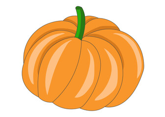 Pumpkin on a white background. Harvest. Healthy nutrition. Vector illustration